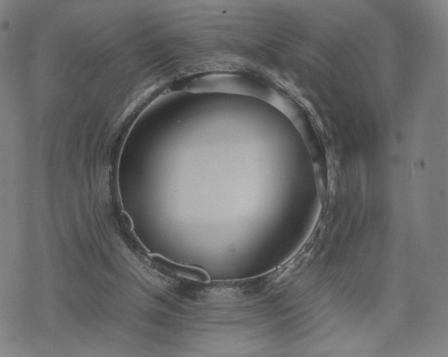 X0000074310154200609011521