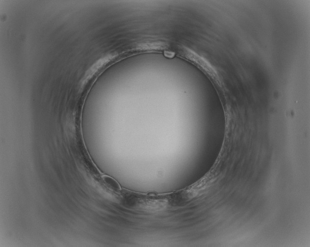 X0000074310155200609011521