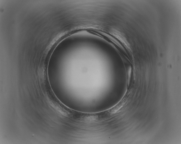 X0000074310156200609011521