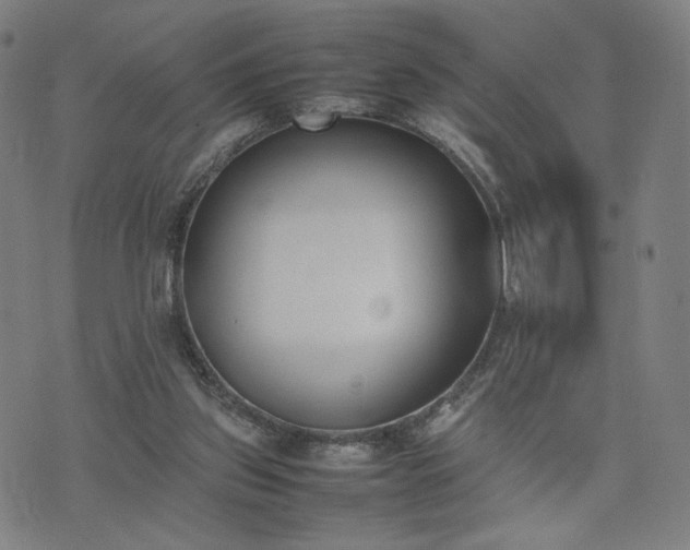 X0000074310157200609011521