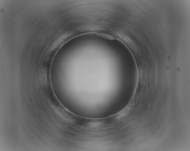 X0000074310158200609011521