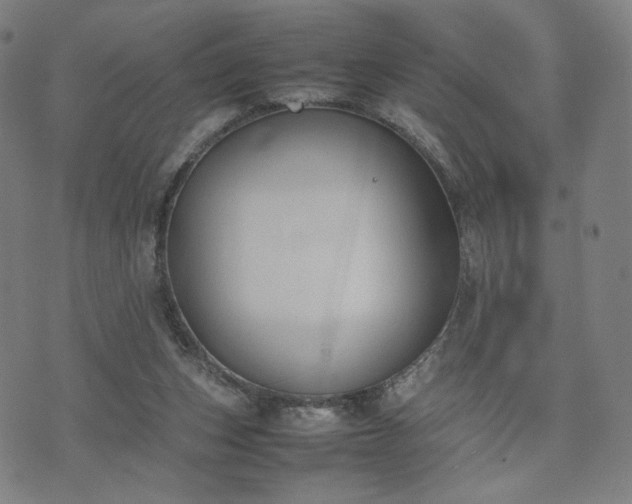 X0000074310159200609011521