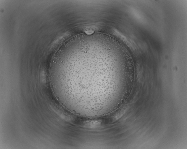 X0000074310161200609011521