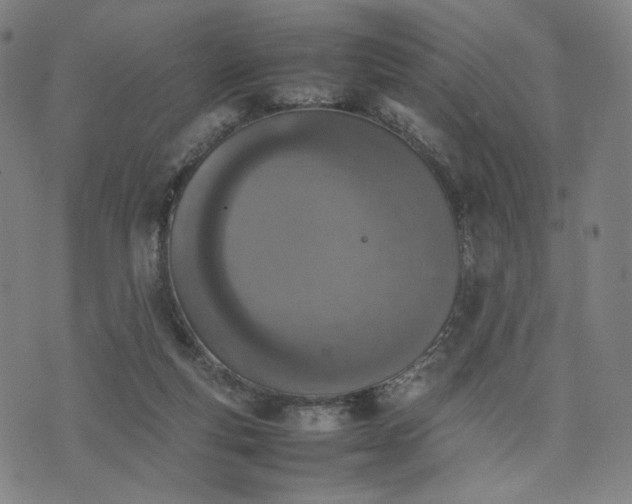 X0000074310163200609011521