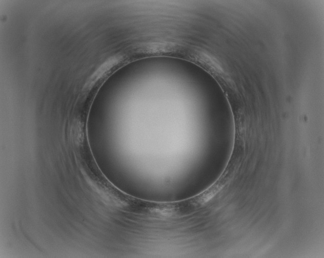 X0000074310164200609011521