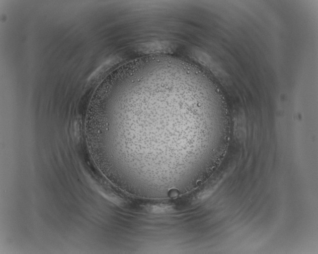 X0000074310165200609011521