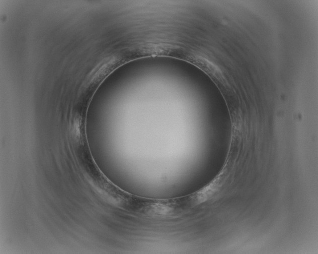 X0000074310166200609011521