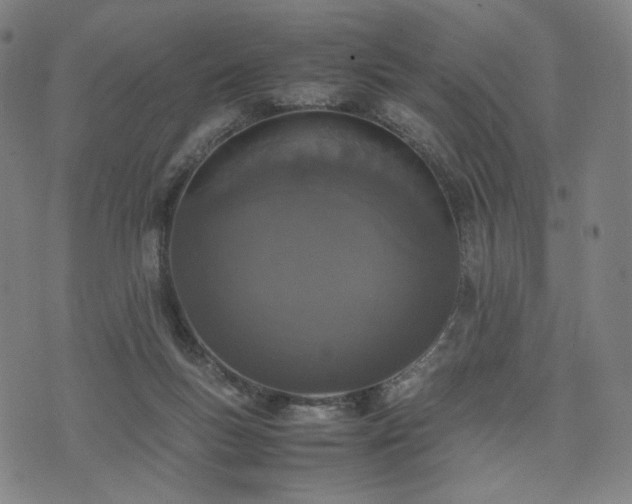 X0000074310167200609011521