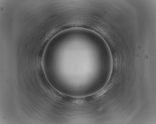 X0000074310168200609011521