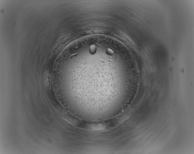 X0000074310169200609011521