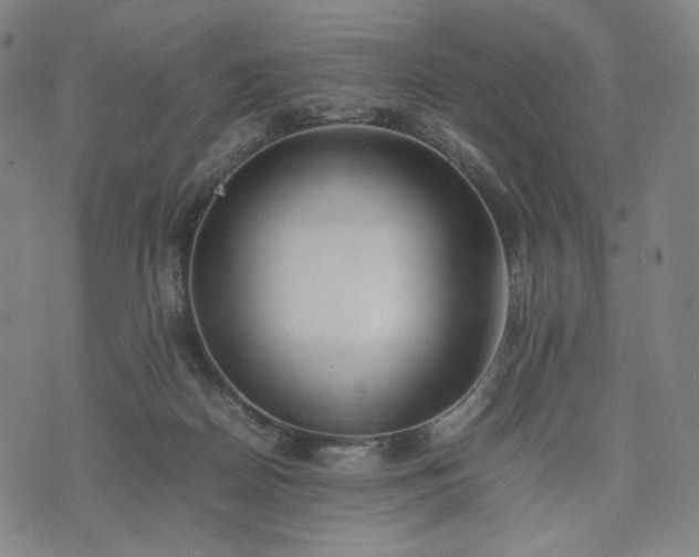 X0000074310170200609011521