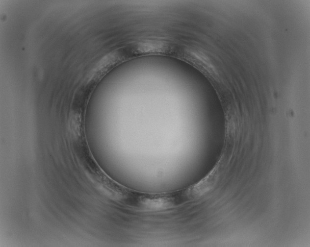 X0000074310171200609011521