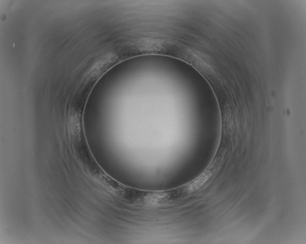 X0000074310172200609011521