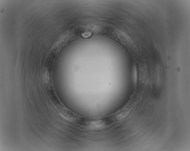 X0000074310173200609011521