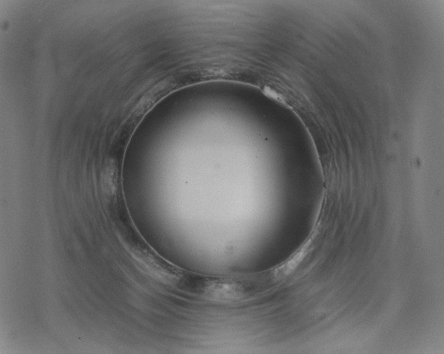 X0000074310174200609011521