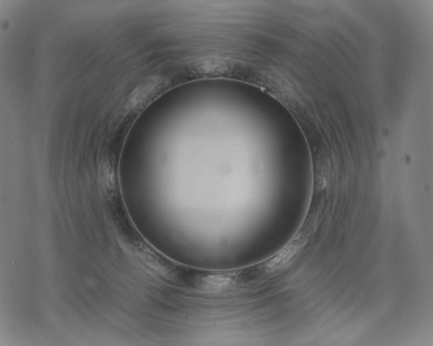 X0000074310176200609011521