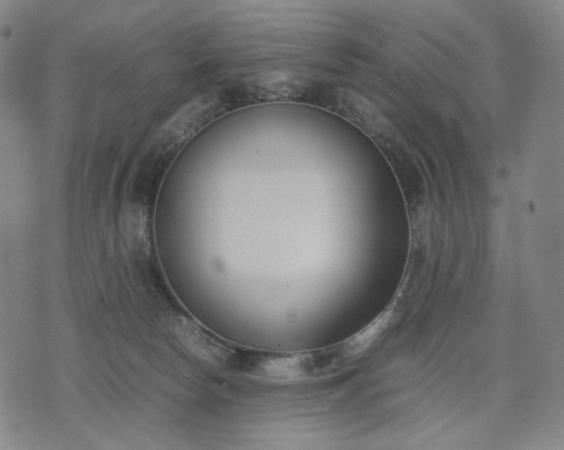 X0000074310178200609011521