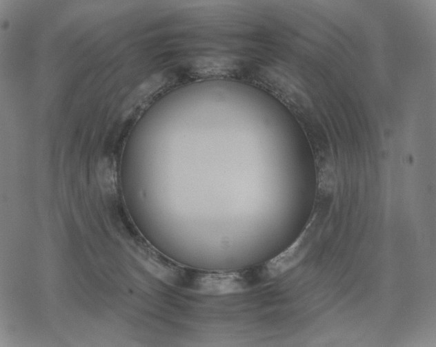 X0000074310179200609011521