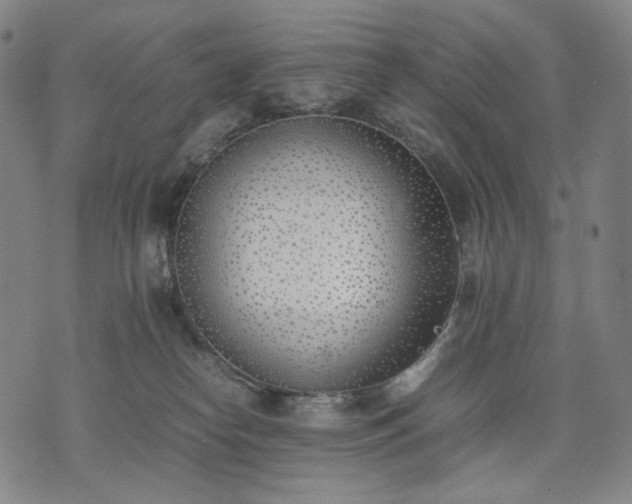 X0000074310182200609011521