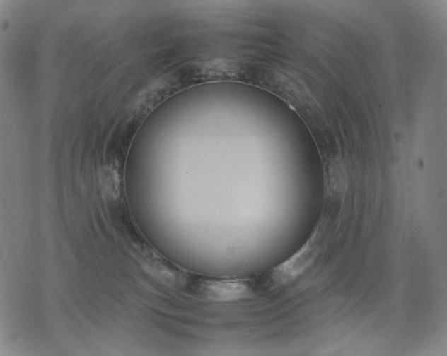 X0000074310183200609011521