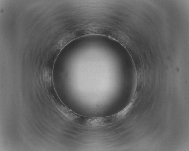 X0000074310186200609011521