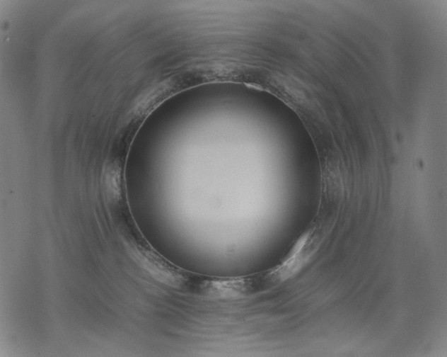 X0000074310188200609011521