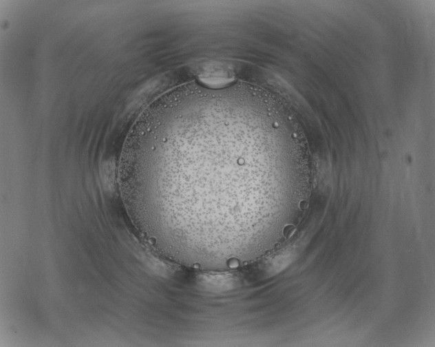 X0000074310189200609011521