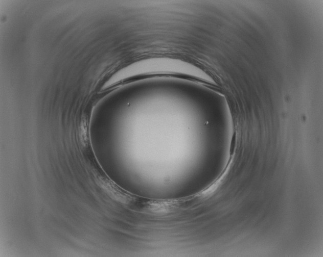 X0000074310190200609011521