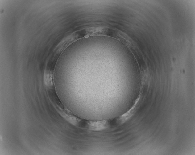 X0000074310191200609011522