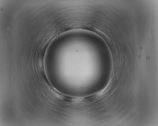 X0000074310192200609011522