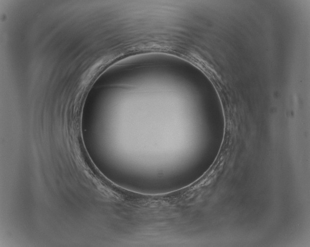 X0000074310193200609011521