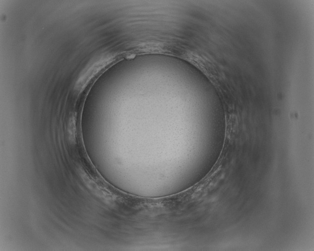 X0000074310194200609011521