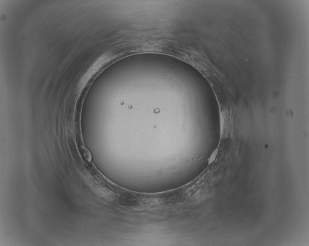 X0000074310195200609011521