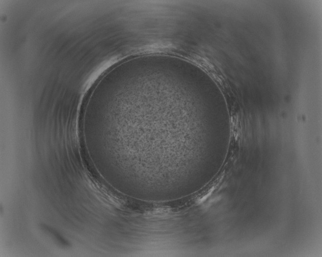 X0000074310196200609011521