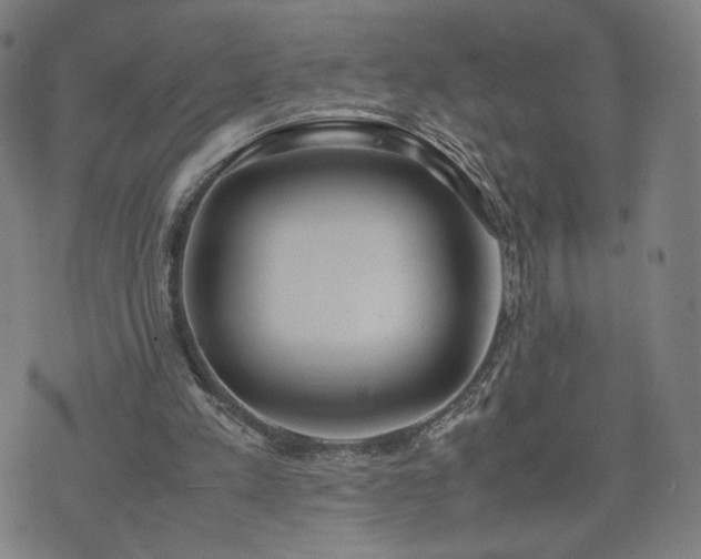 X0000074310197200609011521