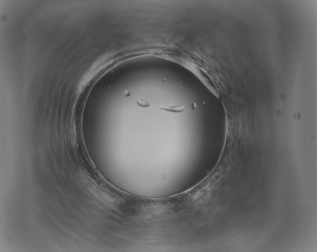 X0000074310198200609011521