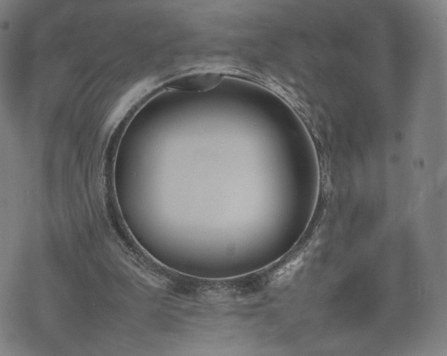 X0000074310199200609011521