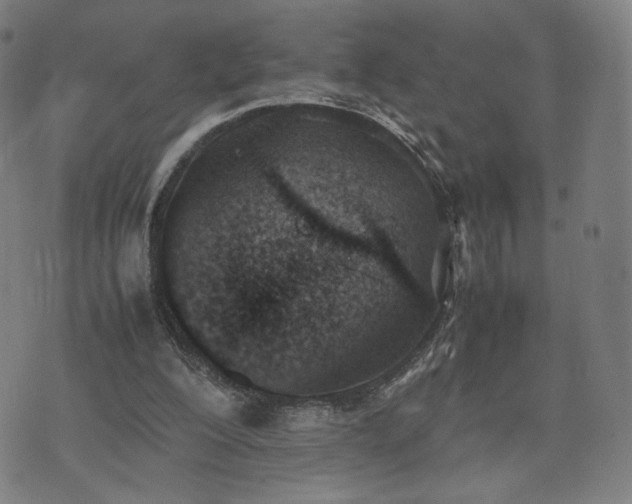 X0000074310200200609011521