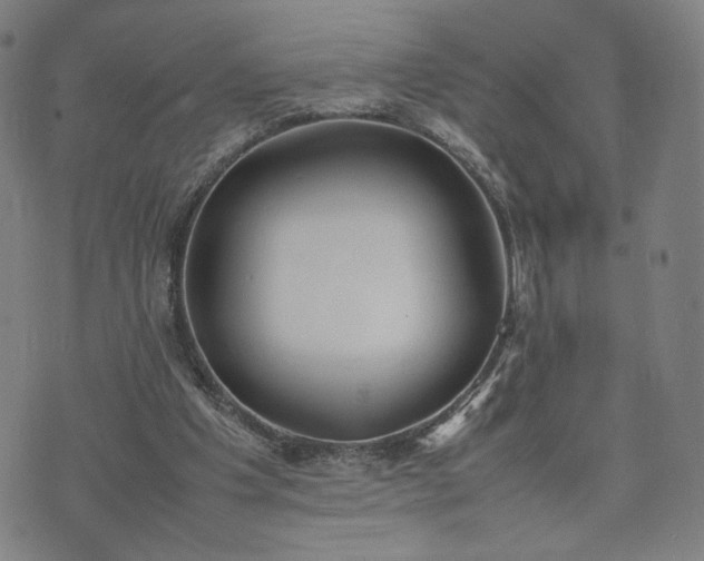 X0000074310201200609011521