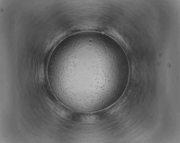 X0000074310202200609011521