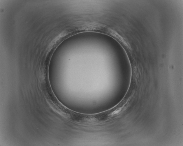 X0000074310203200609011521