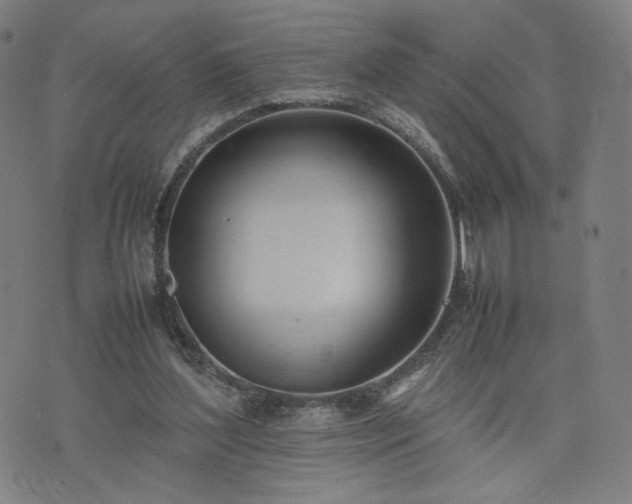 X0000074310204200609011521