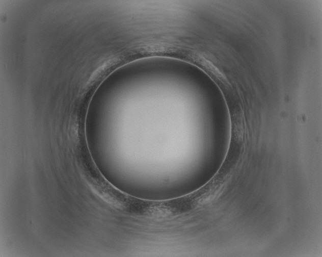 X0000074310207200609011521