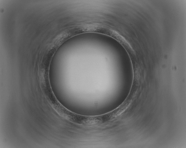 X0000074310209200609011520