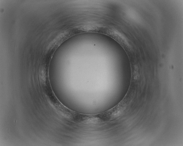 X0000074310210200609011520