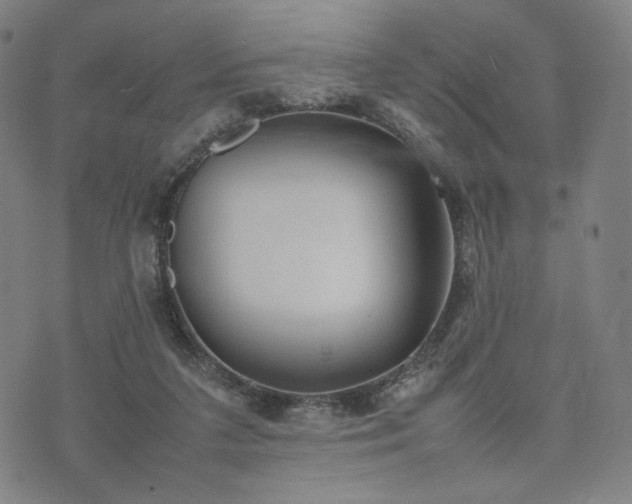 X0000074310211200609011520