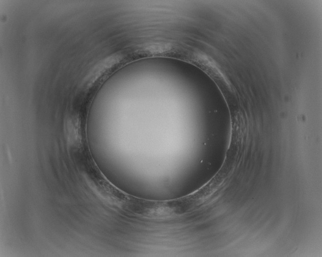 X0000074310212200609011520