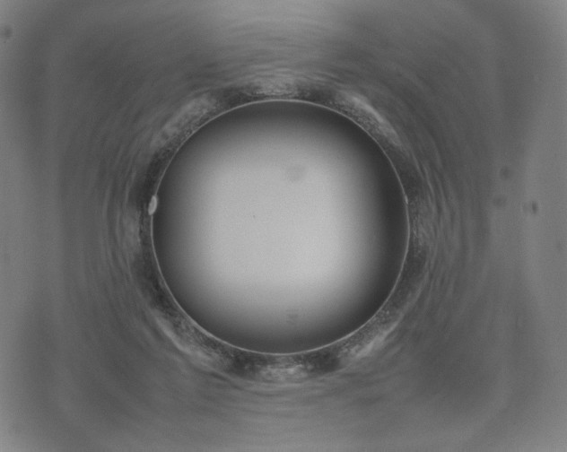 X0000074310213200609011520