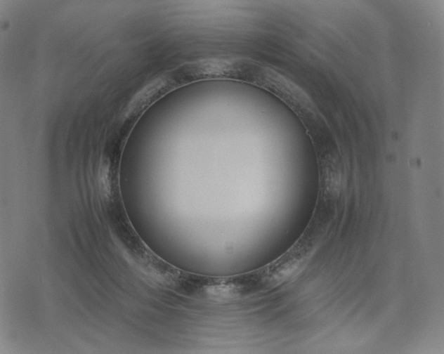 X0000074310216200609011520