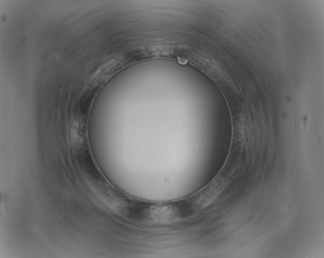 X0000074310218200609011520